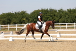 SBM_005618