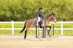 SBM_003919