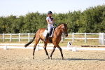 SBM_006833