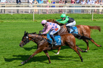 100726-Race 4-Illys Roo-0302