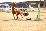 SBM_000917