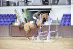 SBM_001691