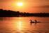 Common Loon pair silhouette, Minnesota, USA