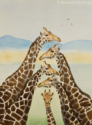 Watercolour paintings portfolio