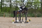 BPP_9933