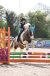 Clear Round portfolio