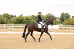 SBM_001337