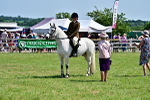 SBM_15378