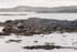 S110 Newfoundland 4