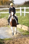 SBM_003613