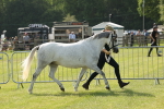 SBM_00742