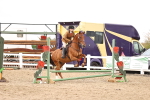 SBM_03661