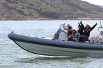 150927 RIMSALKIN IMG_2749
