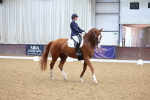 SBM_002262