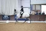 Ring 3 - International -  Working Hunter Classes 23-2-25 portfolio