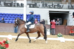 SBM_010201