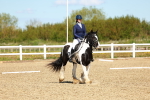SBM_000281