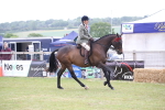 SBM_11417