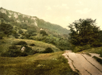 Isle of Wight The Landslip 7
