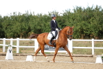 SBM_007527