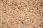 240720A-093709-13469