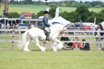 SBM_17178