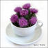 Spear Thistle