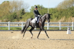 SBM_002890