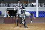 Class 3 - Senior Discovery - 1.00m portfolio