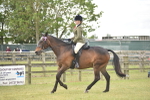 SBM_15967
