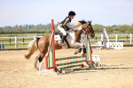 SBM_000386