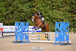 J-442-Will.van.Ufford-BALLYRATH.SLIGO portfolio