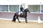 SBM_000698