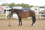 SBM_07894