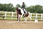SBM_001040
