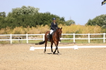 SBM_010419