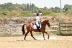 SBM_002912