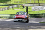 Pete Wilson 22-8-20-366