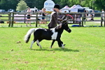 SBM_03506
