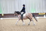 SBM_014228