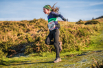 Sale Fell-93