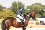SBM_002008