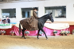SBM_13404