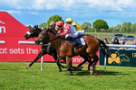 120526-Race 4-Dandy Dinmont-8283