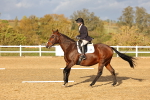 SBM_002821