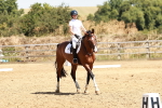 SBM_001636