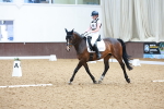 SBM_011918