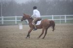 SBM_000955