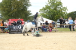 SBM_41457