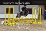 BPP_8261